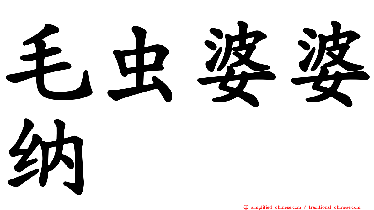 毛虫婆婆纳