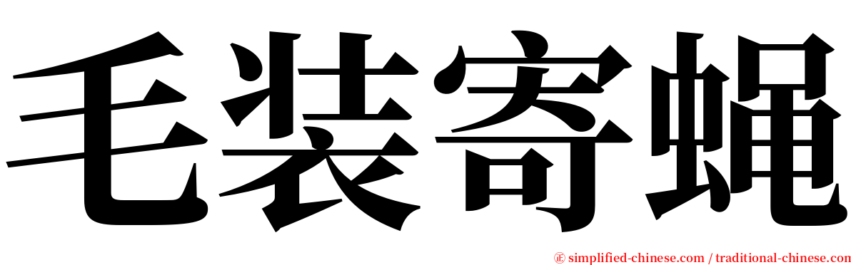 毛装寄蝇 serif font