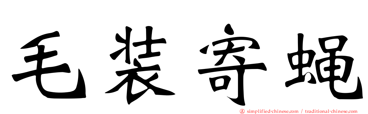 毛装寄蝇