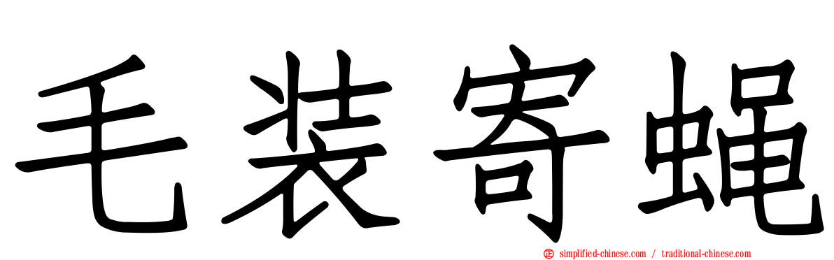 毛装寄蝇