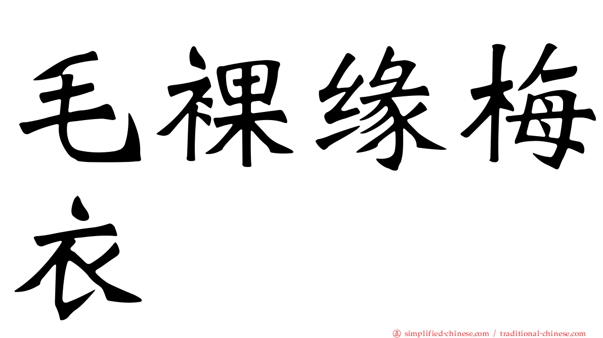 毛裸缘梅衣