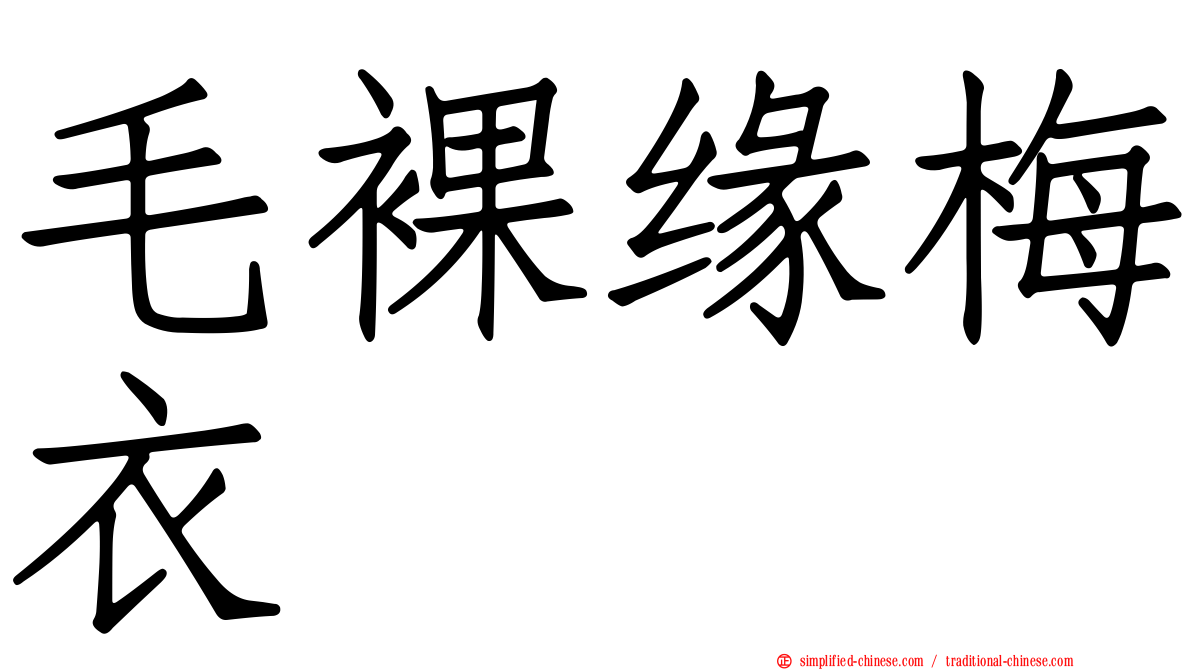 毛裸缘梅衣