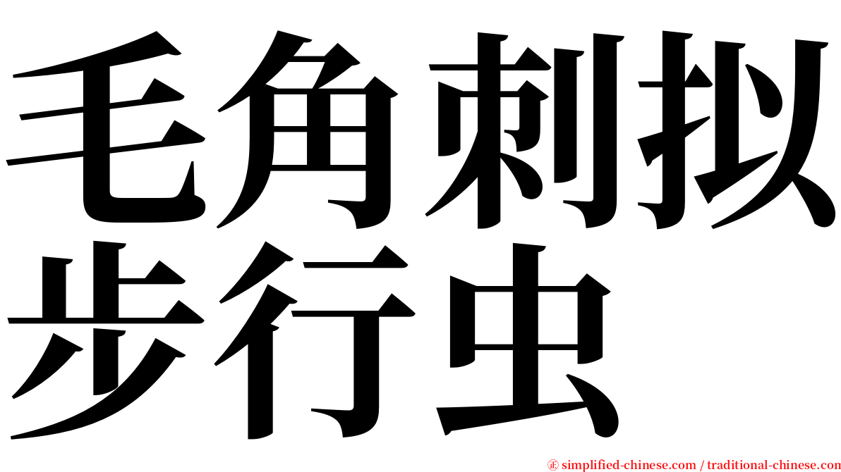 毛角刺拟步行虫 serif font