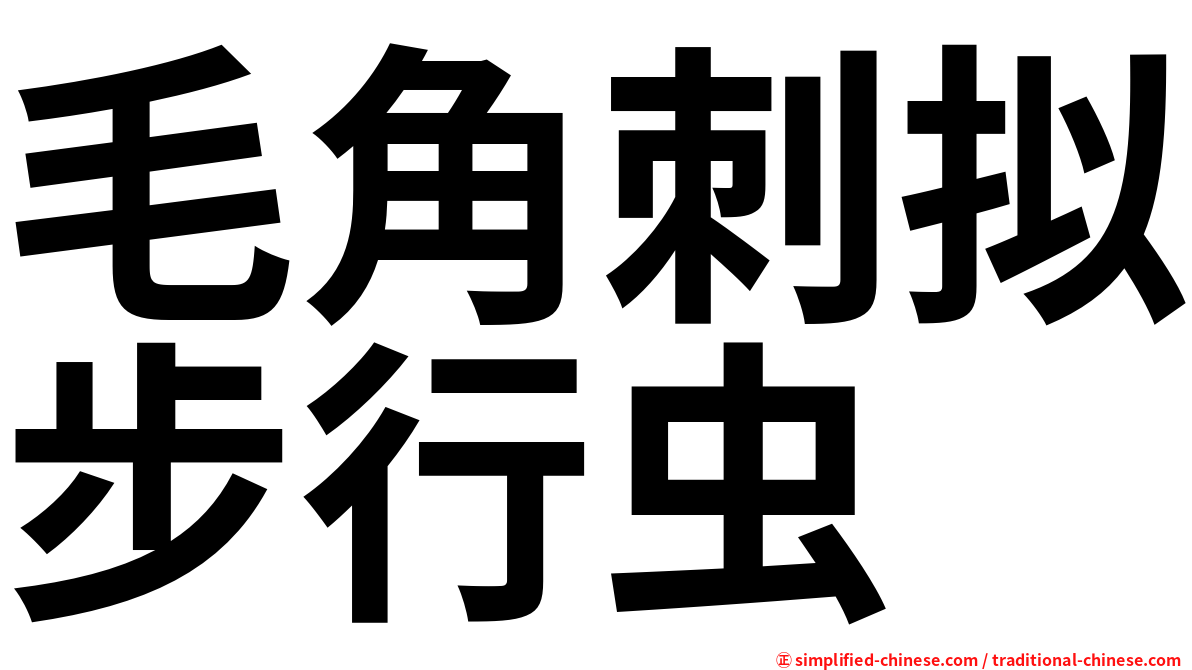 毛角刺拟步行虫