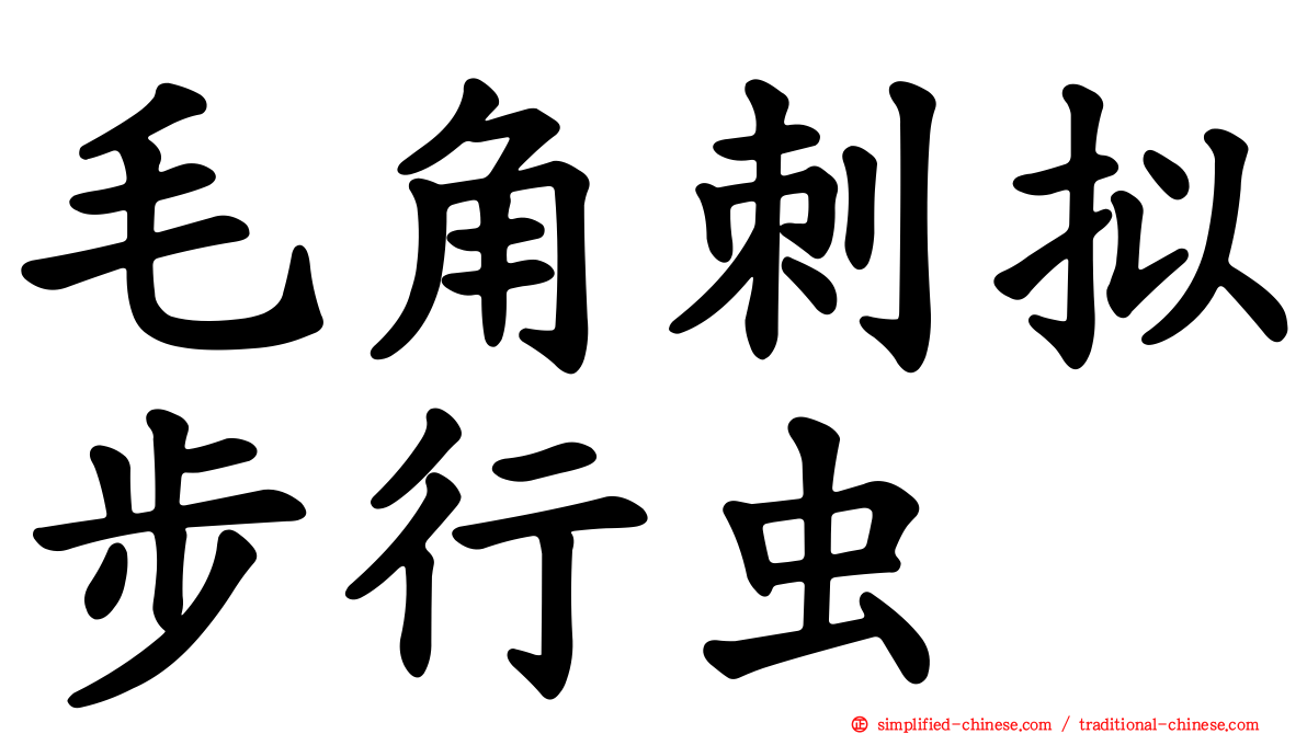 毛角刺拟步行虫