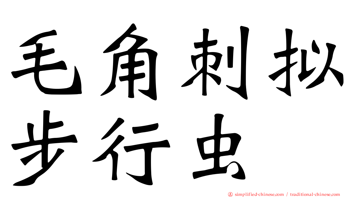 毛角刺拟步行虫