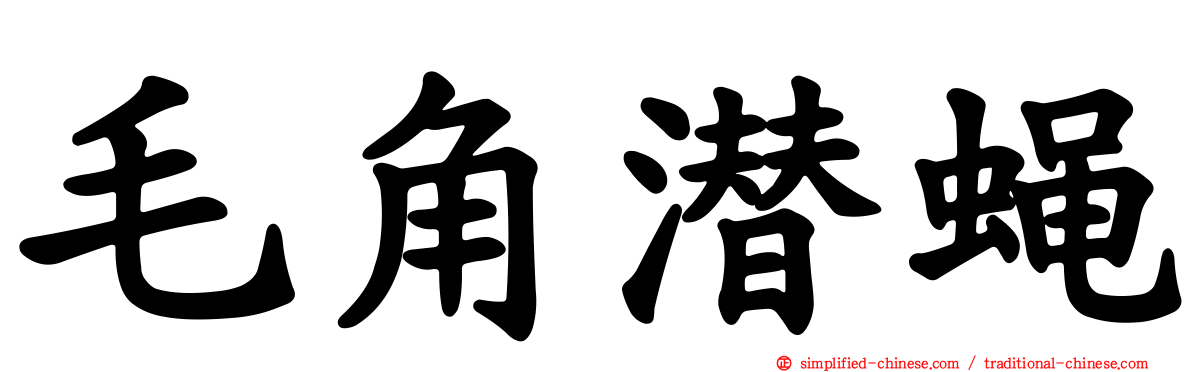 毛角潜蝇