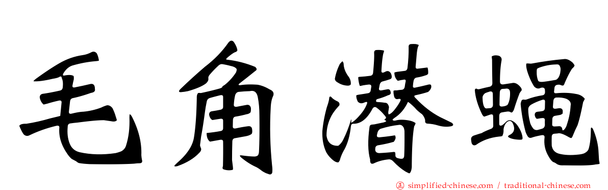毛角潜蝇