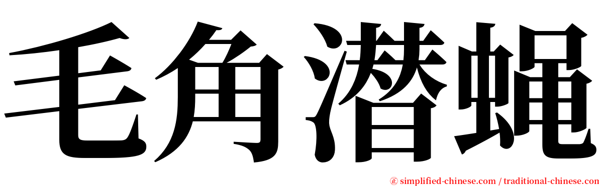 毛角潜蝇 serif font