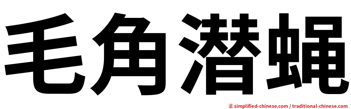毛角潜蝇