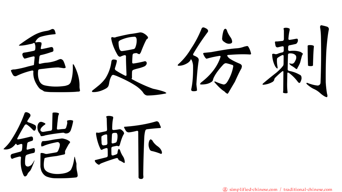 毛足仿刺铠虾