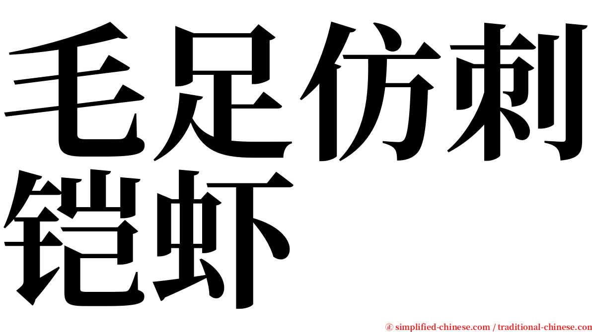 毛足仿刺铠虾 serif font
