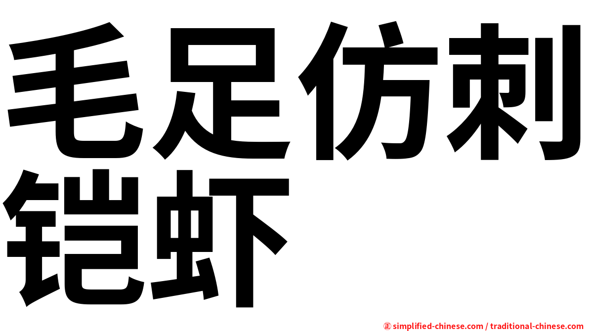 毛足仿刺铠虾
