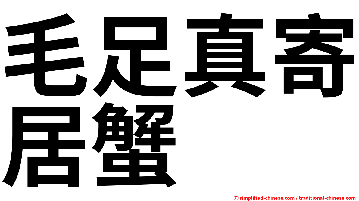 毛足真寄居蟹