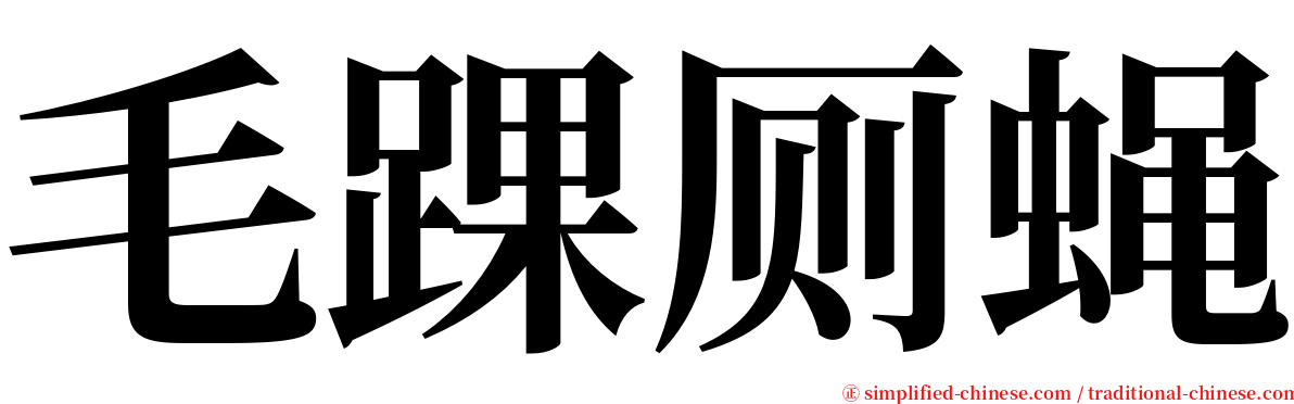 毛踝厕蝇 serif font