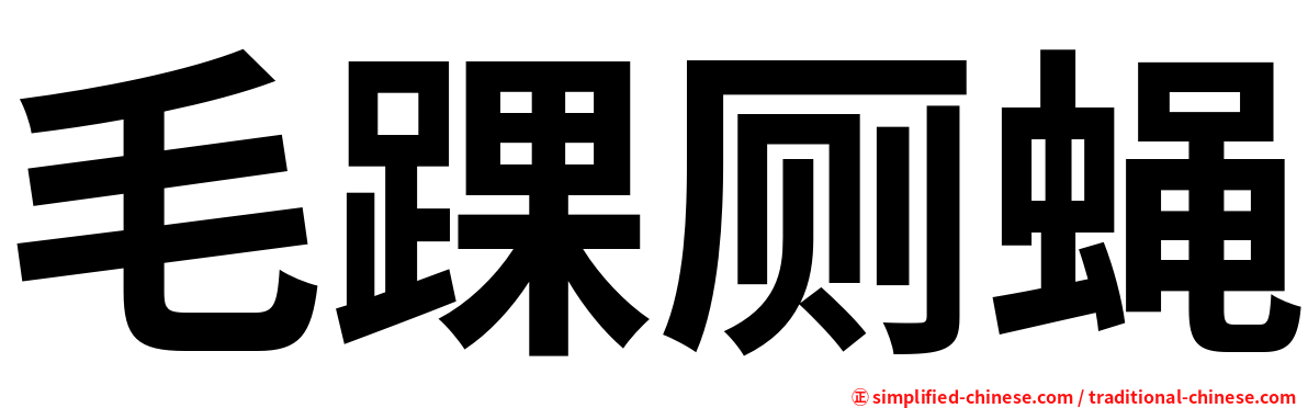 毛踝厕蝇