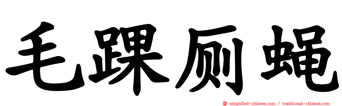 毛踝厕蝇