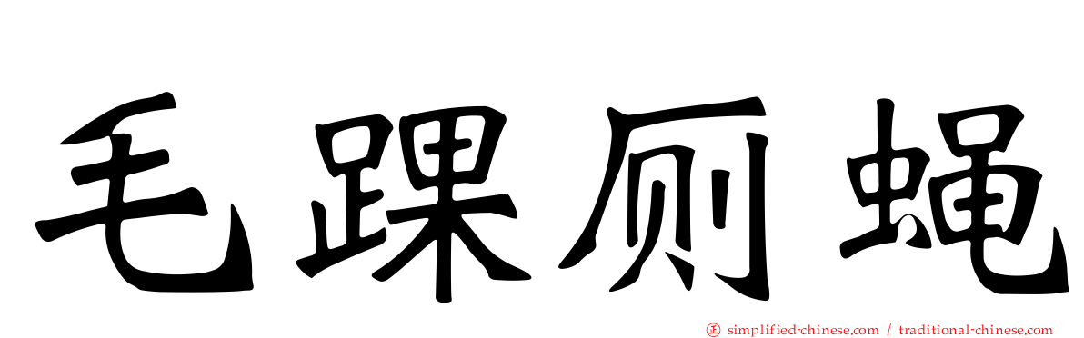 毛踝厕蝇