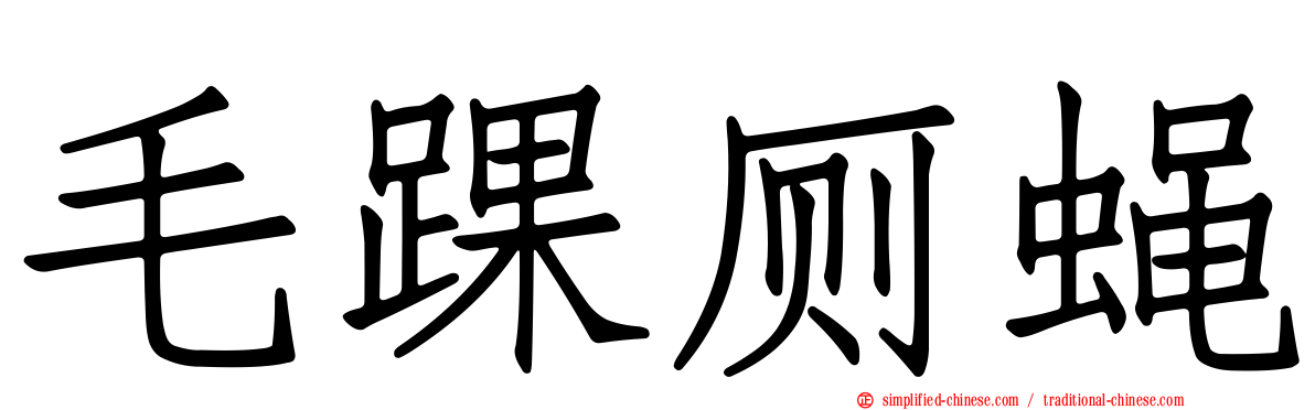 毛踝厕蝇