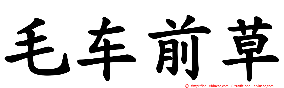 毛车前草