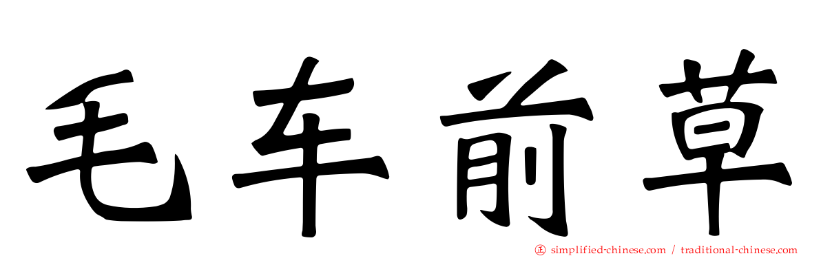 毛车前草