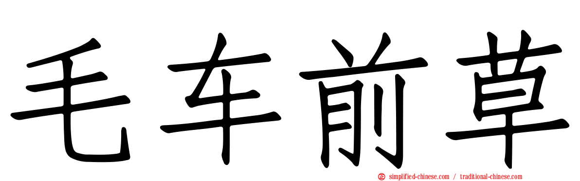 毛车前草