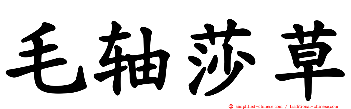毛轴莎草