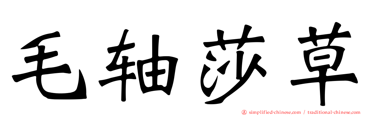 毛轴莎草