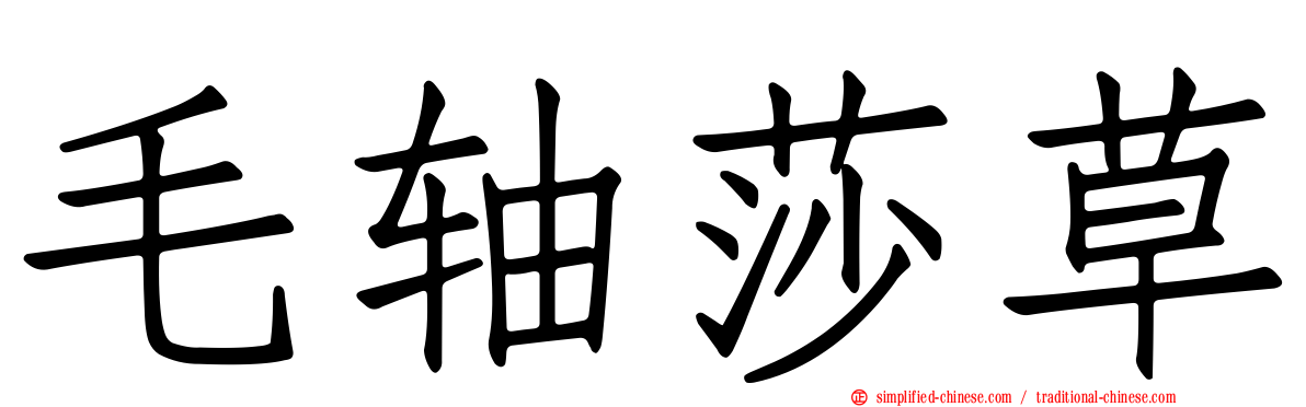 毛轴莎草