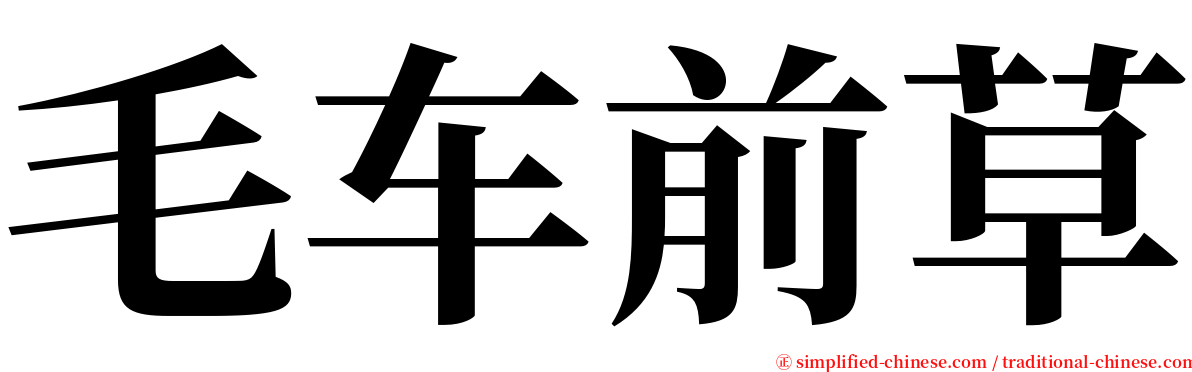 毛车前草 serif font