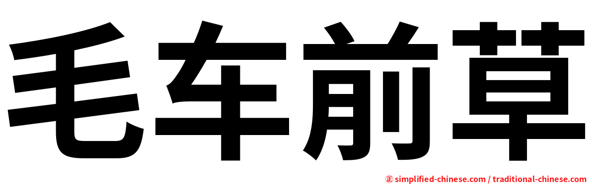 毛车前草