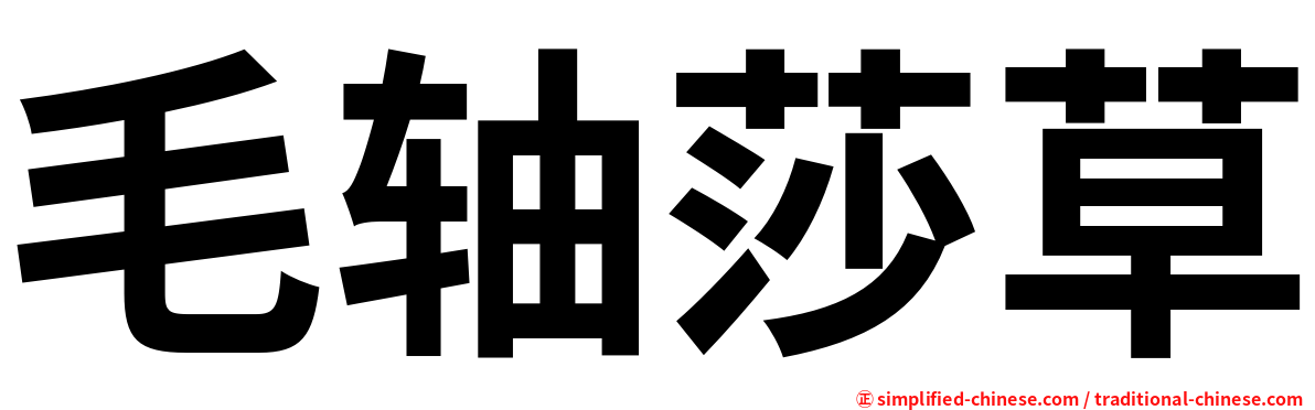 毛轴莎草