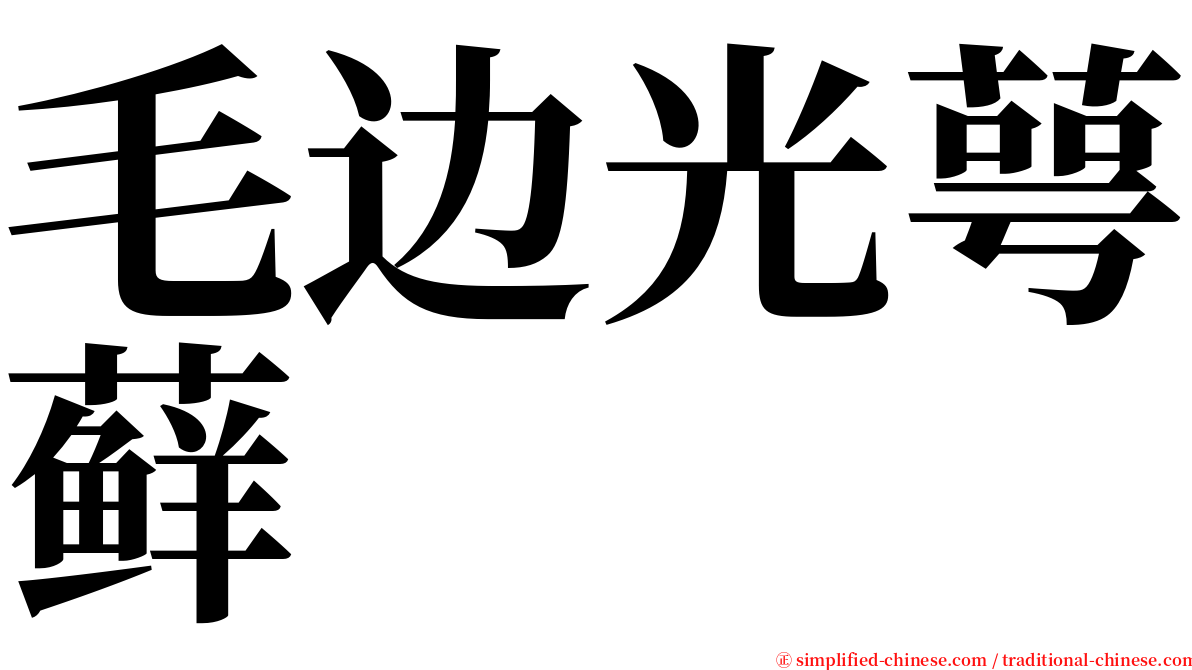 毛边光萼藓 serif font
