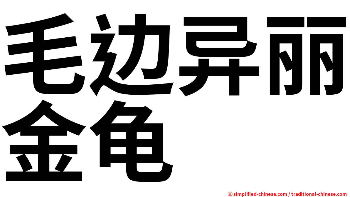 毛边异丽金龟