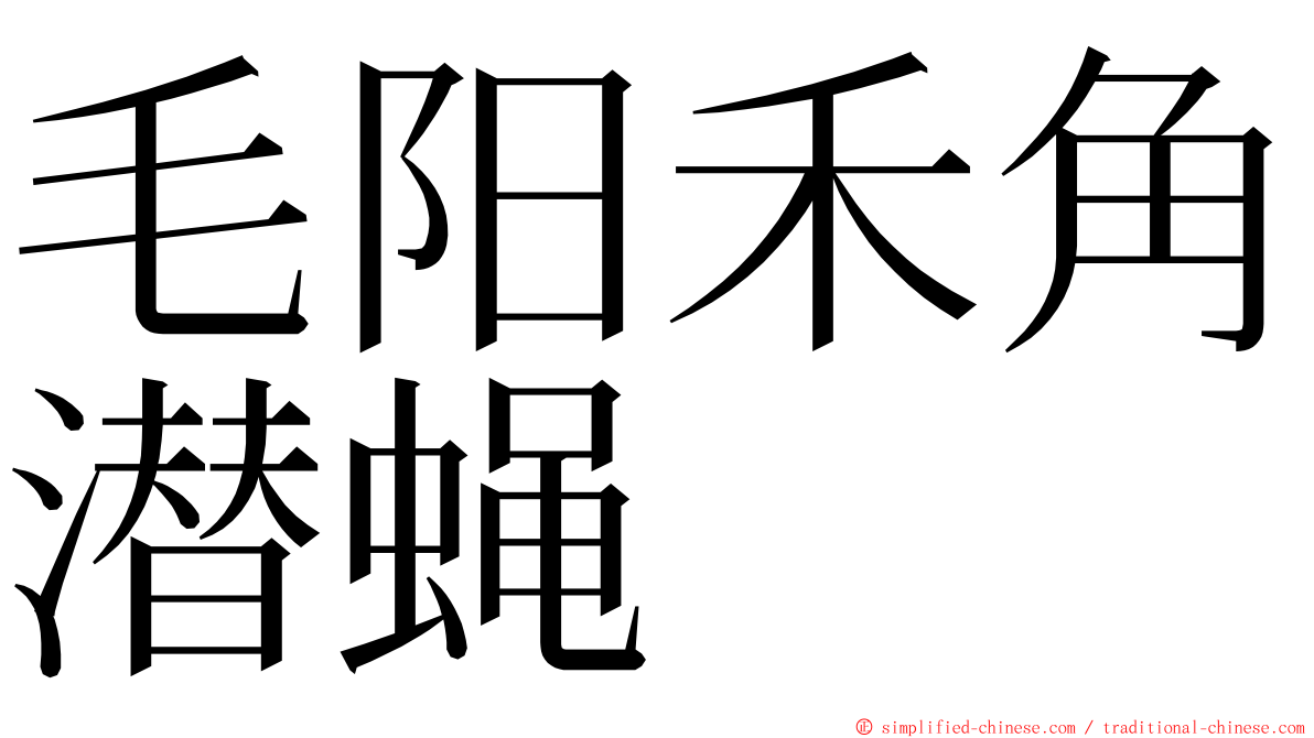 毛阳禾角潜蝇 ming font