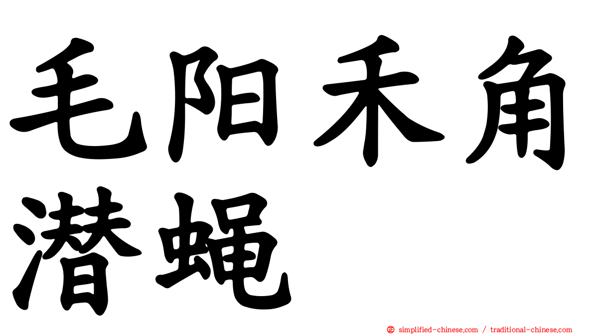 毛阳禾角潜蝇