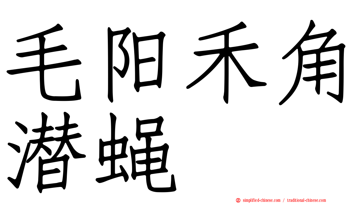 毛阳禾角潜蝇