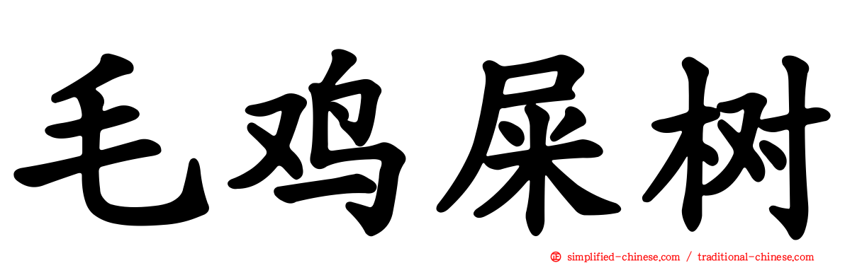 毛鸡屎树
