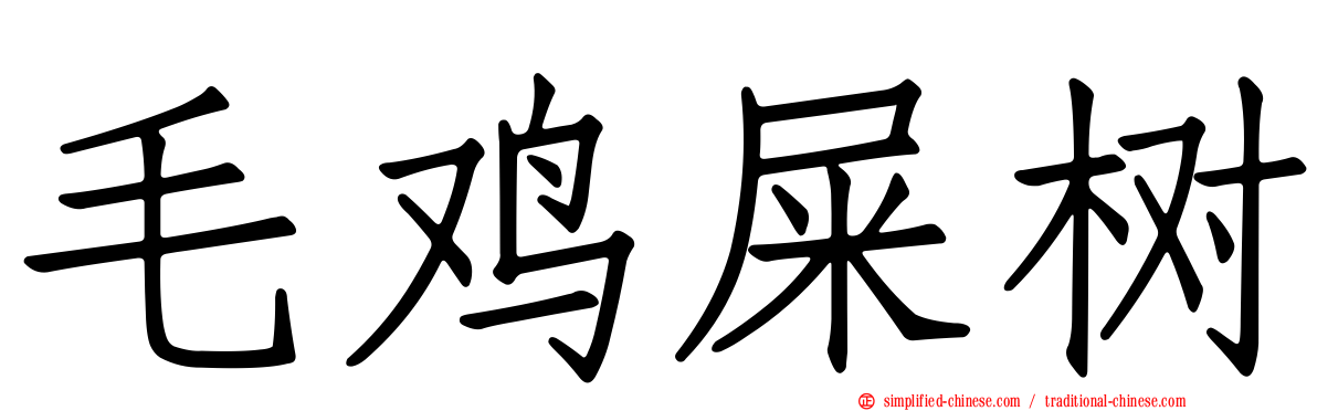 毛鸡屎树