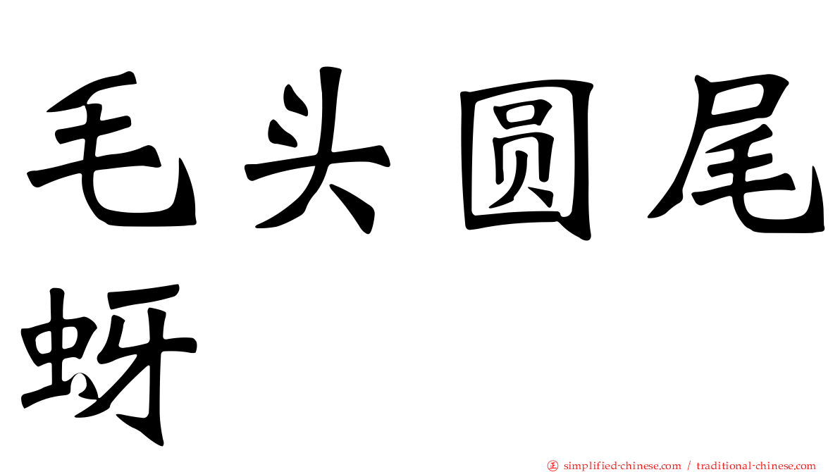 毛头圆尾蚜