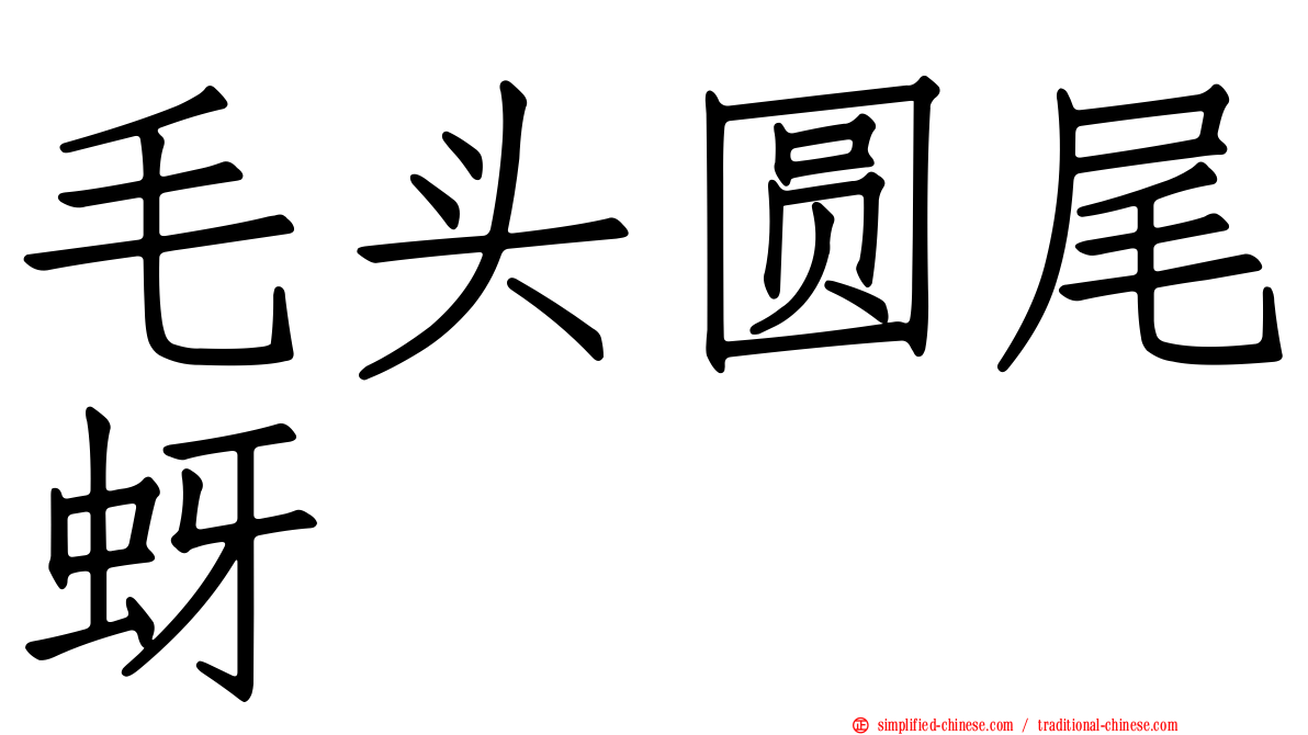 毛头圆尾蚜