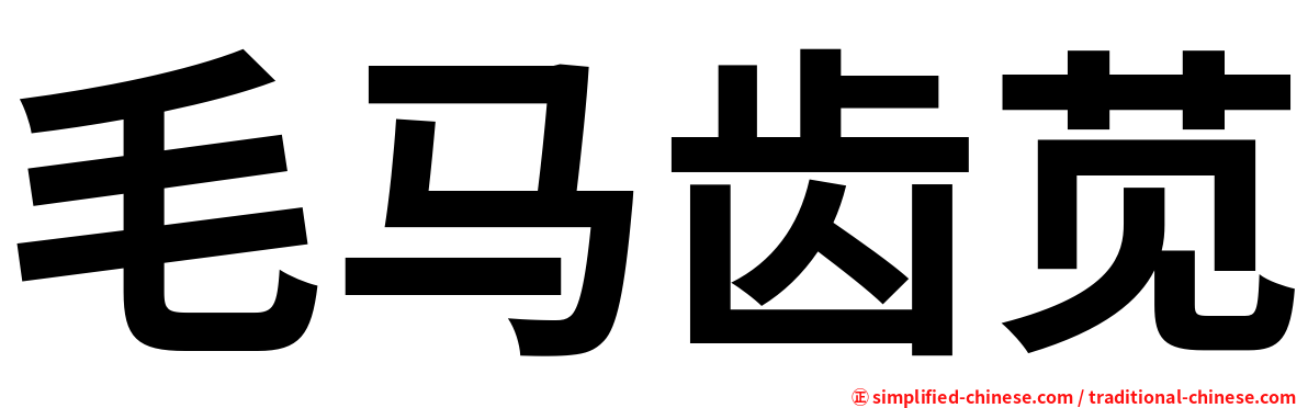 毛马齿苋