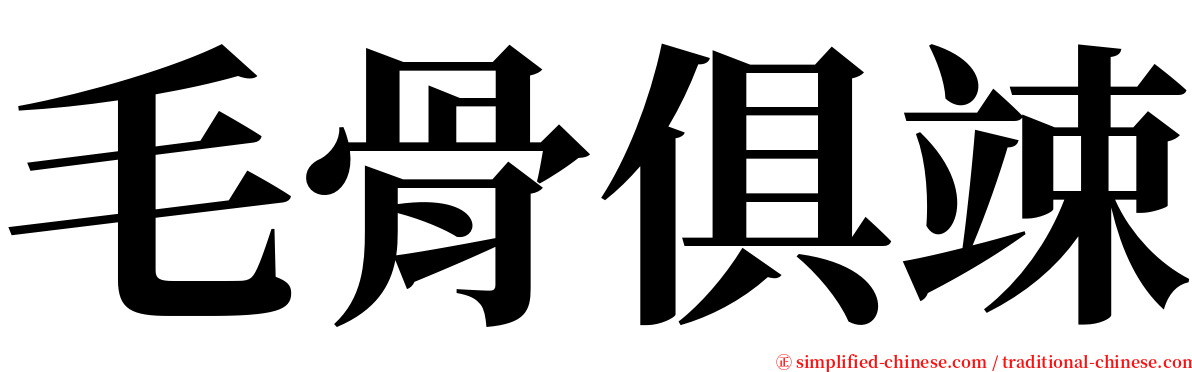 毛骨俱竦 serif font