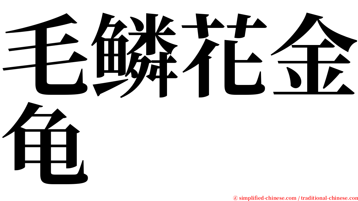 毛鳞花金龟 serif font