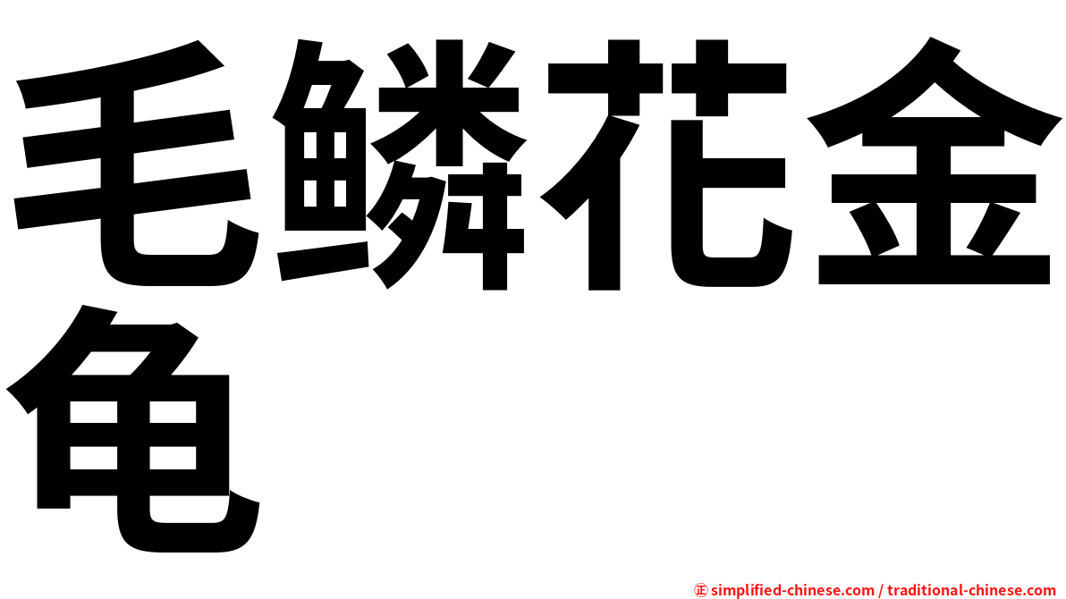 毛鳞花金龟