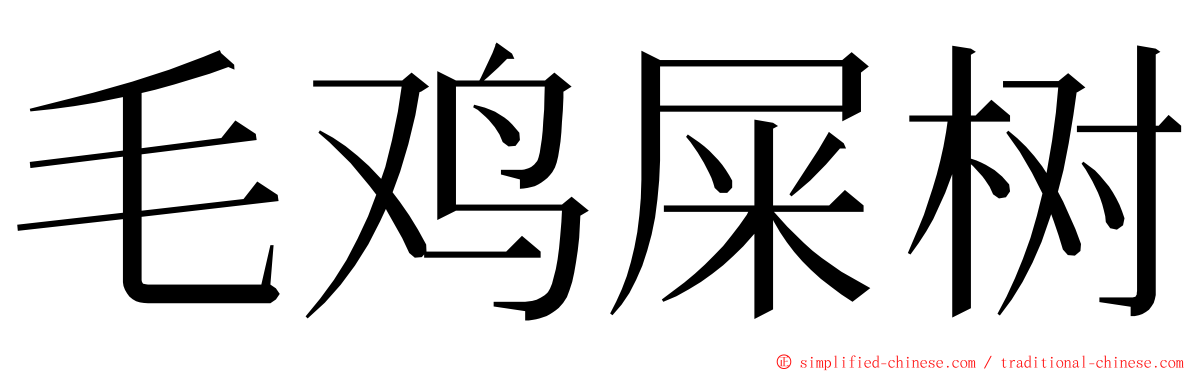 毛鸡屎树 ming font