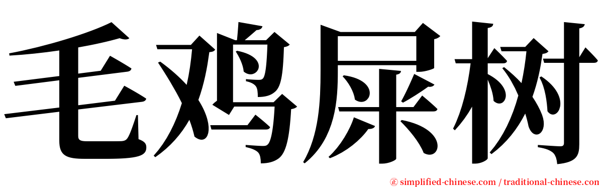 毛鸡屎树 serif font