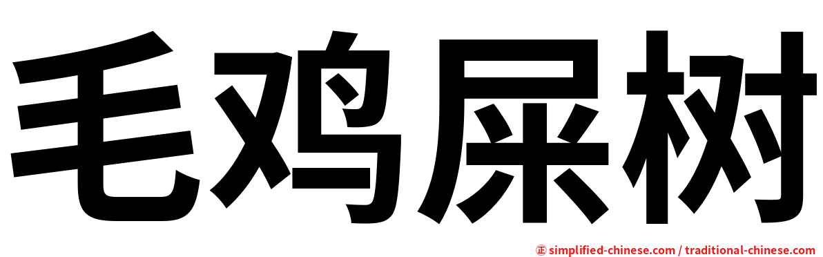 毛鸡屎树