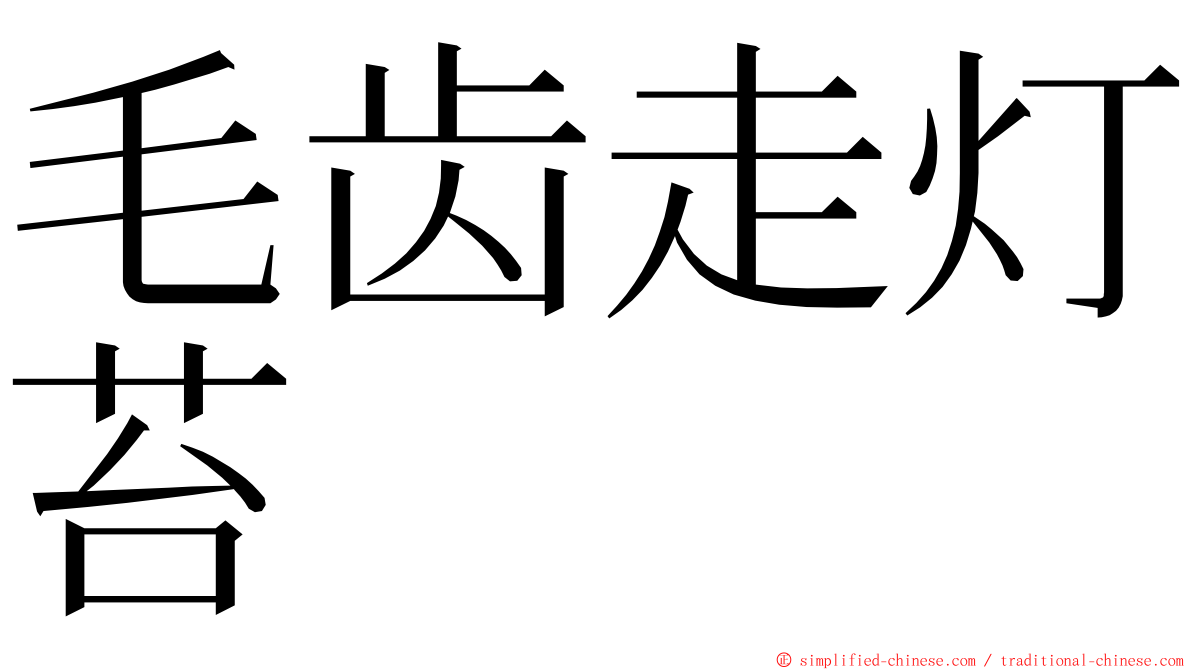 毛齿走灯苔 ming font