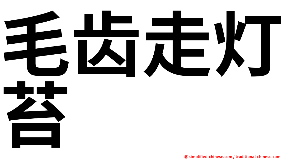 毛齿走灯苔